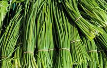 Cara Menanam Kucai agar Bisa Dipanen Berkali-kali, Sebuah Trik yang Biasa Dipakai Para Petani Sayur
