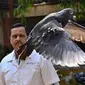 Seekor burung merpati yang dicurigai menjadi mata-mata China di India akhirnya dibebaskan (AP/Anshuman Poyrekar)