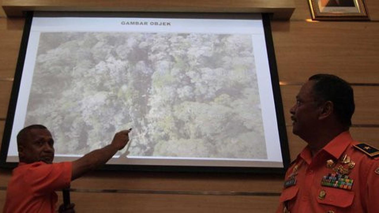 8 Pesawat dikerahkan evakuasi Trigana yang jatuh di pegunungan Papua