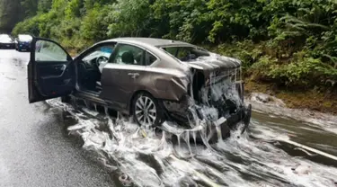 Sebuah mobil mengalami kerusakan dan dipenuhi lendir usai truk pengangkut 3.402 kilogram belut terbalik di jalan raya Highway 101, Oregon, Kamis (13/7). Kejadian ini seketika mengubah jalan raya menjadi licin dan lengket. (Oregon State Police via AP)