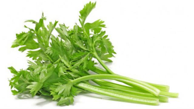 Selain bumbu rempah, beberaia jenis daun-daunan membuat masakan Indonesia lebih terasa nikmat.