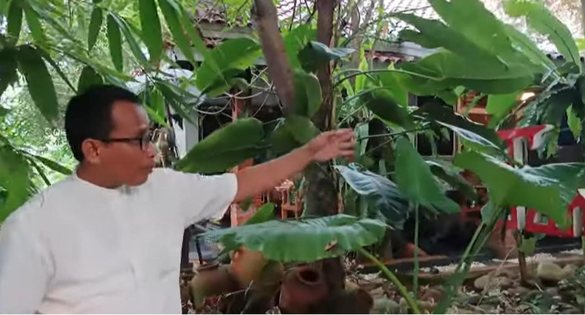 Rumah Dedi Mulyadi
