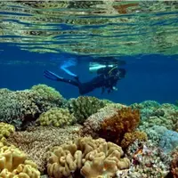 Alasan-alasan ini yang bikin kamu harus menyelam di Indonesia.