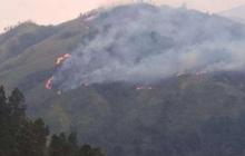 Kebakaran Gunung Arjuno-Ringgit Dekati Permukiman, BPBD Jatim Ungkap Pergerakan Api