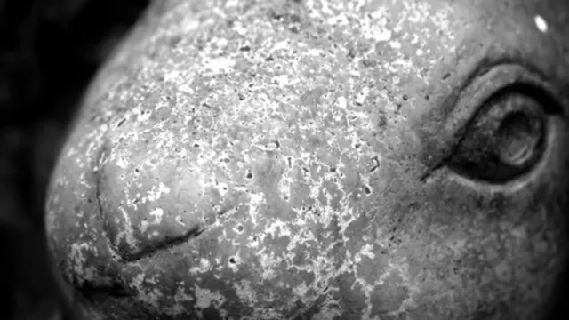 Foto: copyright listverse.com