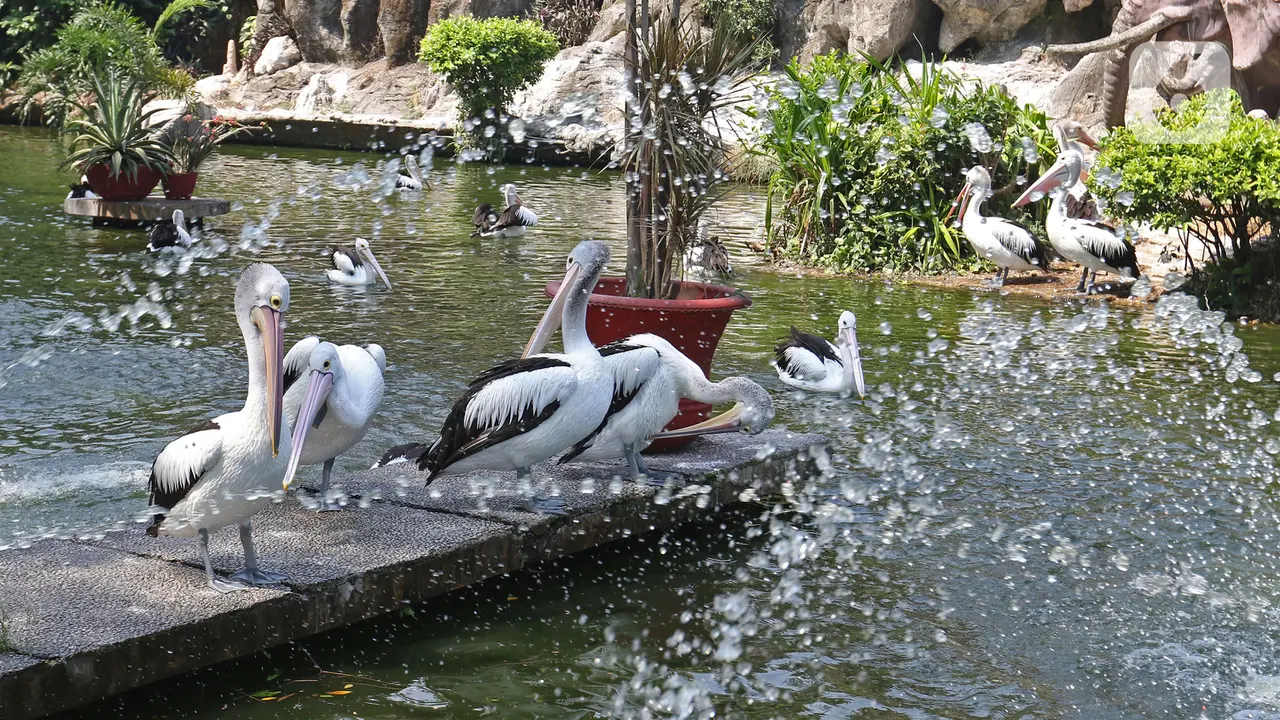 Ragunan Sepi Pengunjung di Libur Idul Adha