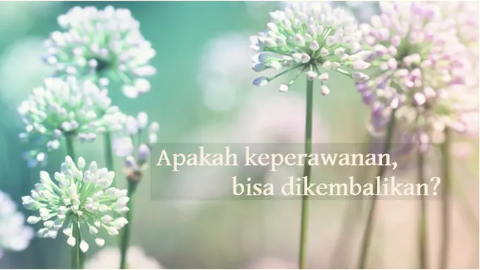 Courtesy ShutterStock.com