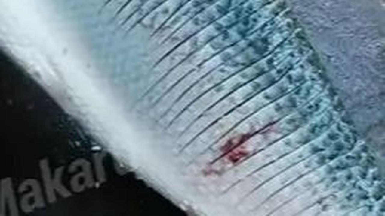 Mengiris Bagian yang Mendekati Ekor Ikan