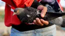 Warga menggenggam burung merpati di bantaran Kanal Banjir Barat (KBB), Petamburan, Jakarta, Kamis (21/9). Bermain burung merpati merupakan hobi yang digemari warga di bantaran Kanal Banjir Barat untuk mengisi waktu libur. (Liputan6.com/Johan Tallo)