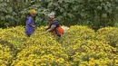 Petani memanen bunga krisan dari sebuah ladang di pinggiran Bangalore (5/10/2021). Bunga krisan, seruni  atau krisantemum adalah sejenis tumbuhan berbunga yang sering ditanam sebagai tanaman hias pekarangan atau bunga petik. (AFP/Manjunathm Kiran)