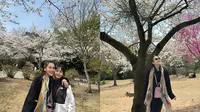 7 Potret Ayu Ting Ting Berburu Sakura di Jepang, Ajak Keluarga Besar