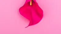 Ilustrasi vagina (iStockphoto