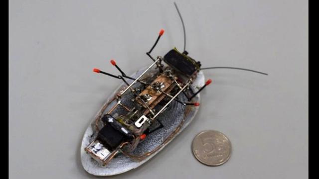 Robot kecoak