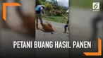 Para petani di Jambi membuang hasil panen mereka seperti kentang, cabai merah, sayur kol, dan bawang merah di jalanan. Ini menjadi aksi protes mereka kepada pemerintah.