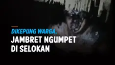 JAMBRET NGUMPET DI SELOKAN, TAKUT DIHAJAR WARGA