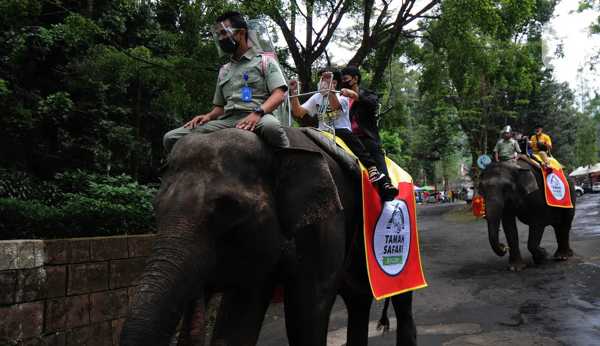 Pengunjung berkeliling dengan gajah di Taman Safari Indonesia (TSI) di Cisarua, Bogor, Kamis (20/5/2021). Walaupun libur lebaran sudah berakhir wiasatawan masih memadati kawasan TSI Bogor dengan menerapkan protokol kesehatan dan membatasi pengunjung hingga 50 persen.
(merdeka.com/ Arie Basuki)