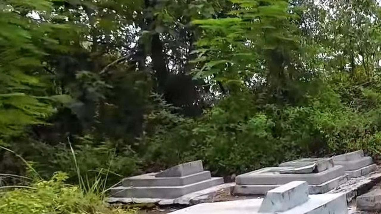 Bekas makam Belanda di pabrik gula Gempol