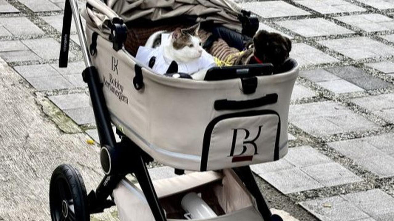 Gaya Bobby Kertanegara kenakan koko putih