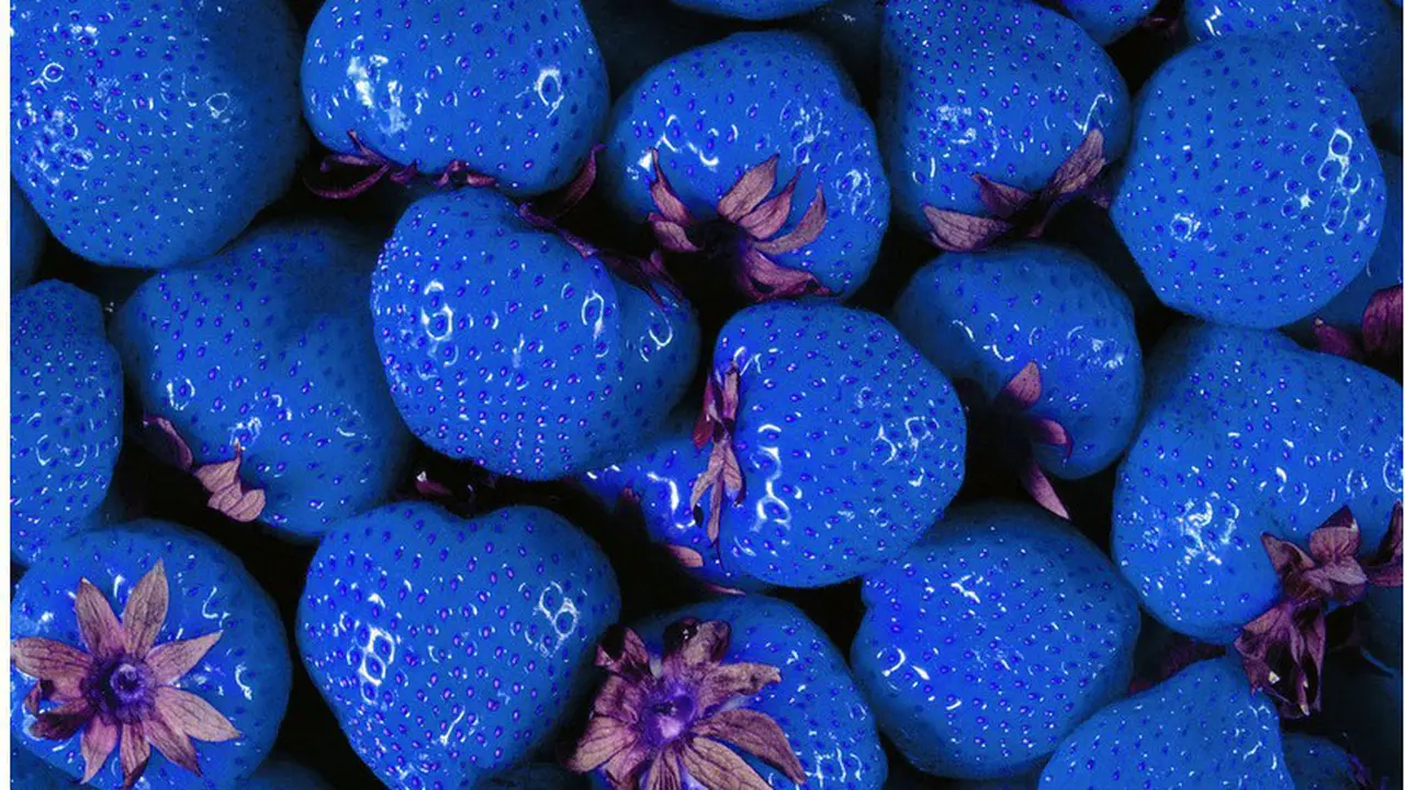 Stroberi Berwarna Biru Tanpa Olah Digital!