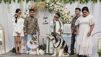 Pernikahan anjing viral Jojo dan Luna turut menggunakan tema internasional. (Foto: dokumentasi @6j.family)