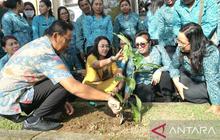 TP PKK Badung Gencarkan Gerakan Hatinya PKK Melalui Distribusi Bibit Tanaman