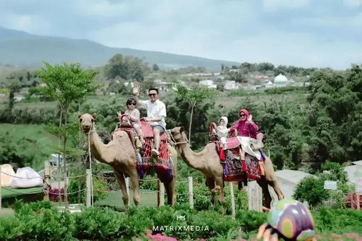 13 Wisata Malang Terbaru yang Terpopuler dan Hits, Cocok untuk Liburan Keluarga