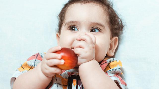Makanan yang Baik untuk Perkembangan Otak Bayi