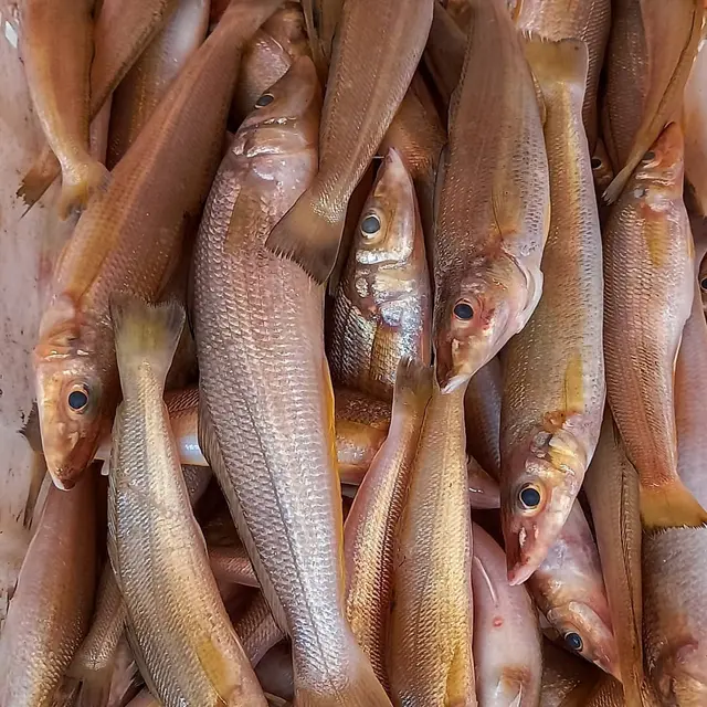 Resep Ikan Kaca Piring Pedas yang Gurih dan Nagih
