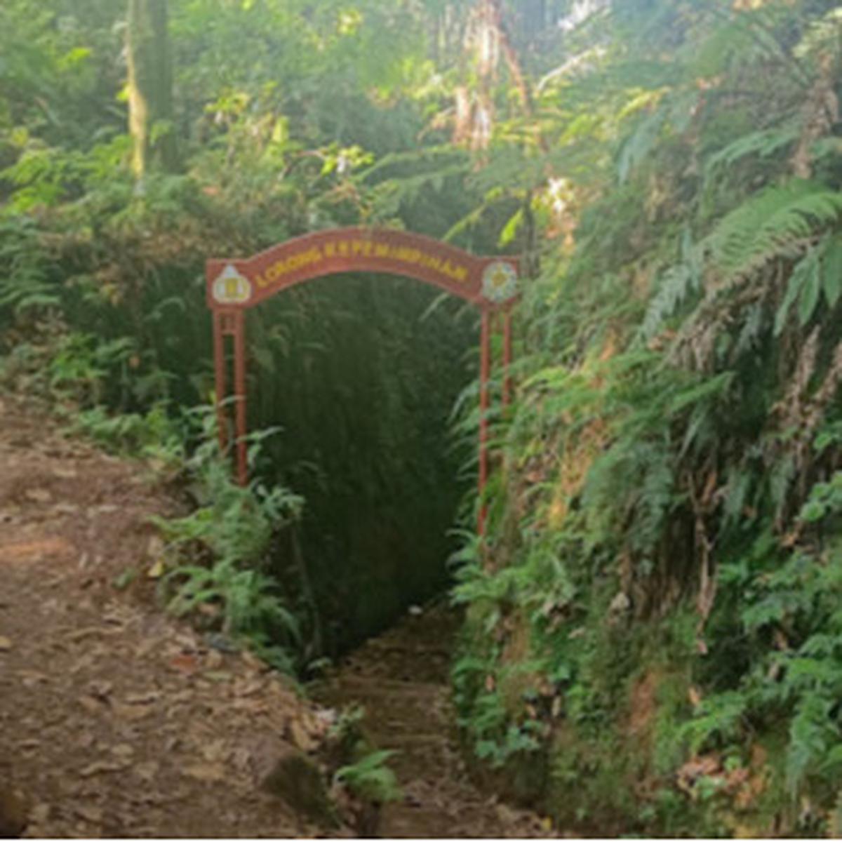Lorong lumut