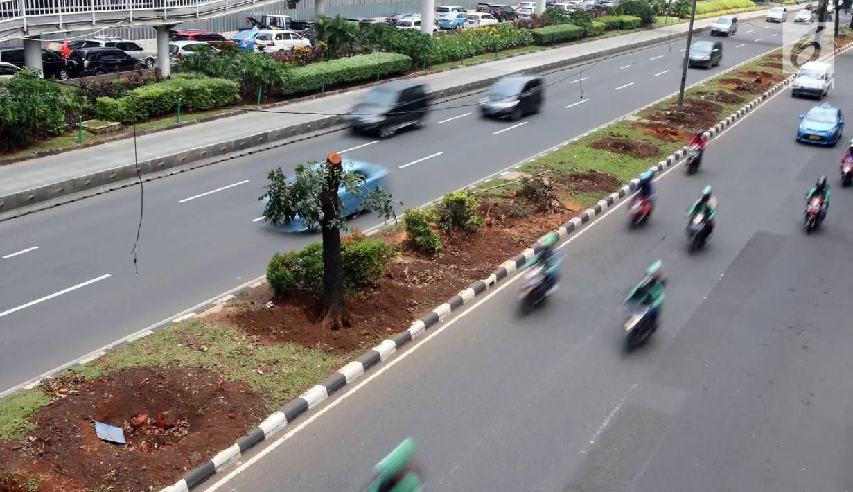 Kendaraan melintas di samping-pohon-pohon yang telah ditebang di Jalan Sudirman, Jakarta, Jumat (9/3). Pohon-pohon tersebut dipindah ke ruang terbuka hijau di Jakarta seperti Waduk Pluit dan Taman BMW. (Liputan6.com/Arya Manggala)
