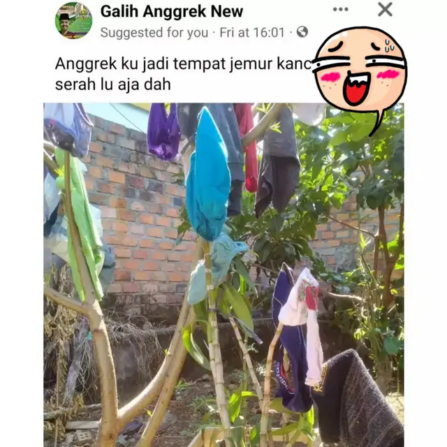 6 Potret Absurd Orang Gantung Baju di Pohon, Bikin Kaget ketika Malam Hari