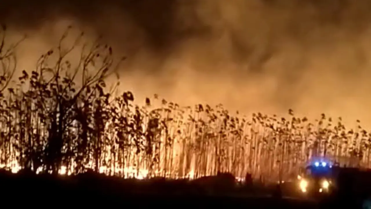 Kebakaran di lahan kilang minyak Pertamina Tuban. (Adirin/Istimewa)