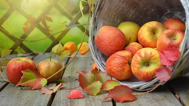 Buah Apel (Sumber : Pixabay)