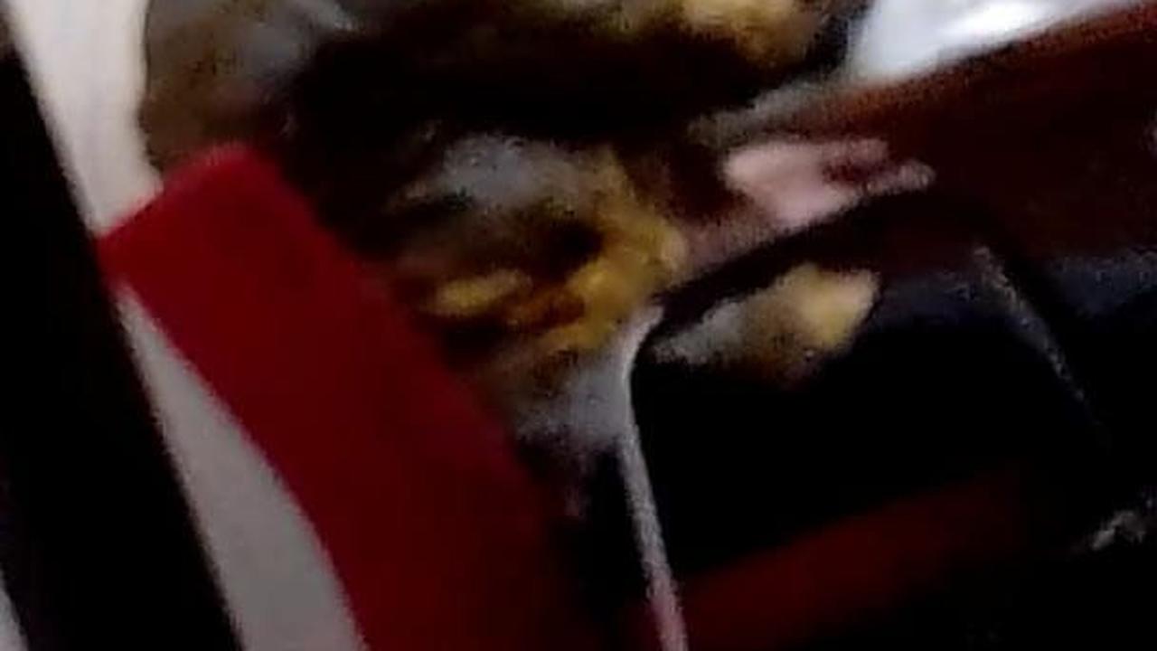 Ketua KPK Firli saat diperiksa polisi