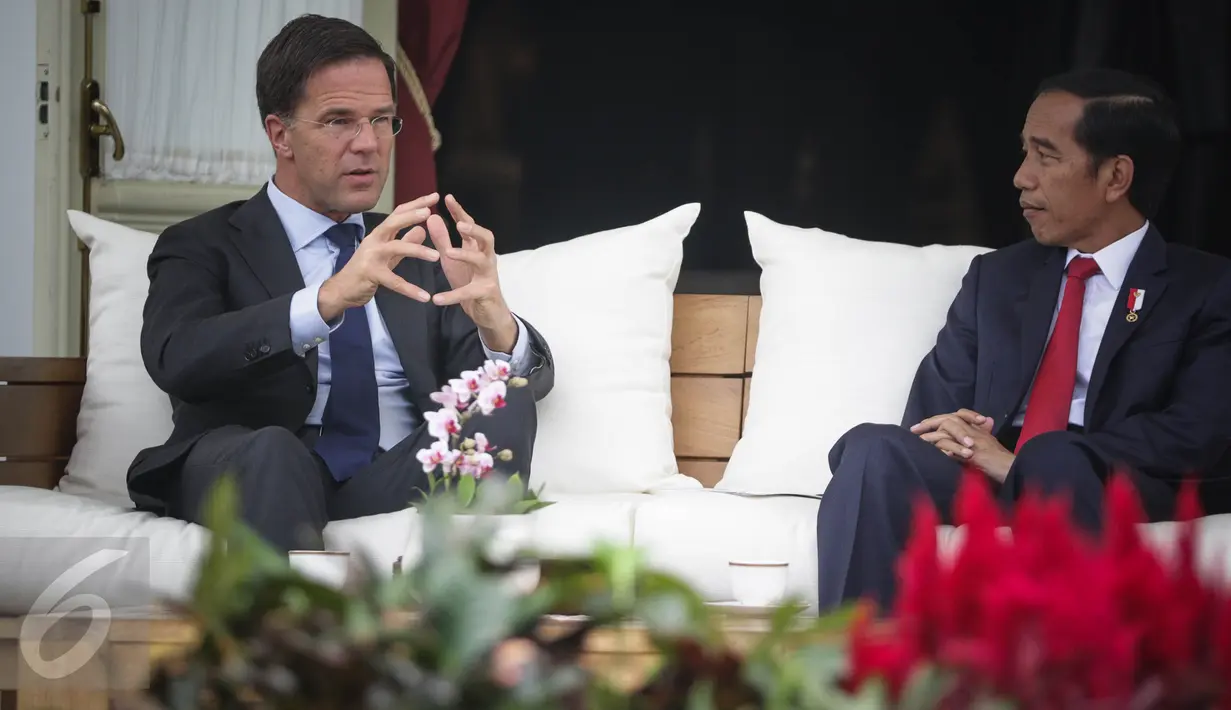 Presiden Joko Widodo (Jokowi) menyimak Perdana Menteri (PM) Belanda Mark Rutte saat berbincang di beranda belakang Istana Merdeka, Jakarta, Rabu (23/11). Jokowi dan PM Belanda melakukan pembicaraan khusus empat mata. (Liputan6.com/Faizal Fanani)