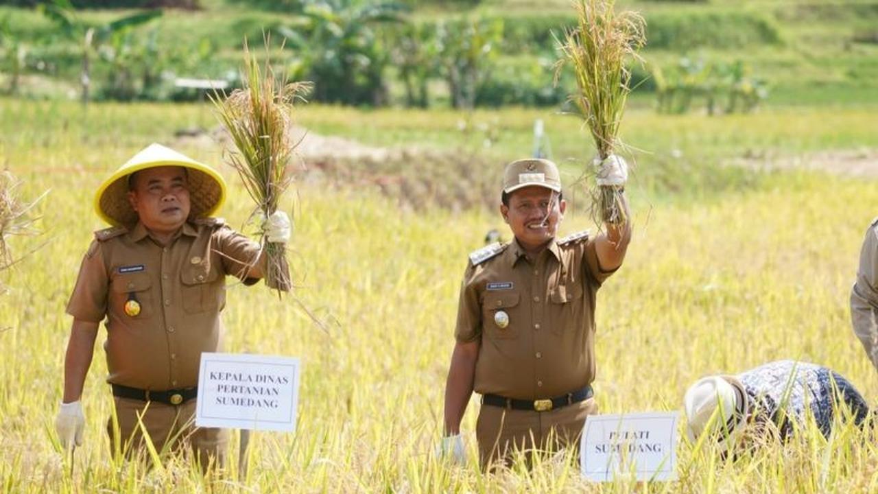 Inovasi Pertanian Sumedang: Tabela Jadi Model Peningkatan Produktivitas Petani