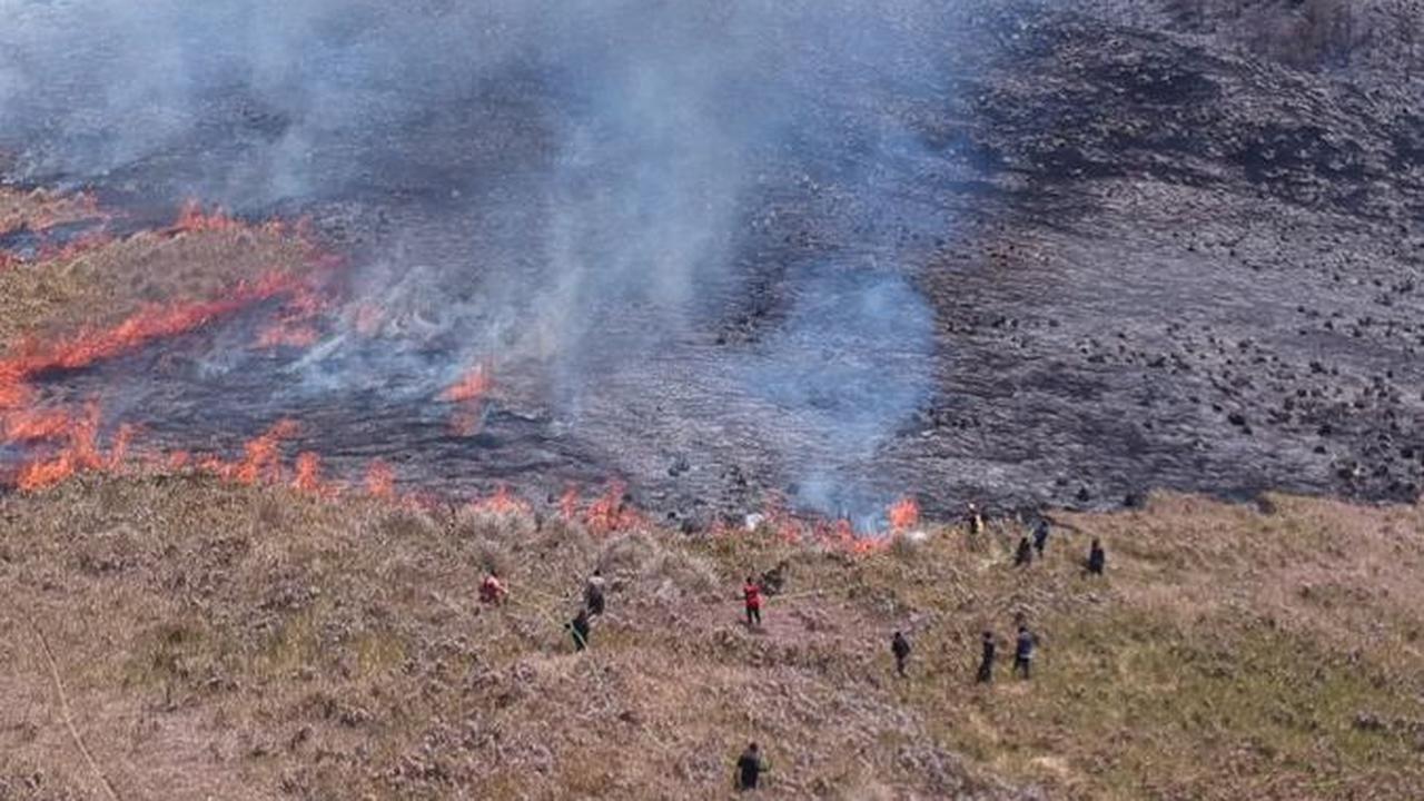 Kebakaran Hutan di Kawasan Bromo Belum Padam Meski Sudah 12 Jam Lebih, Ini Kondisi Terkini