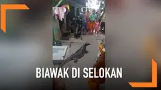 Sekelompok pasukan oranye dikejutkan dengan munculnya seekor biawak berukuran besar dari selokan. Ini terjadi saat pasukan oranye sedang membersihkan selokan di sebuah pemukiman warga. Peristiwa ini sontak membuat warga sekitar menjadi heboh.