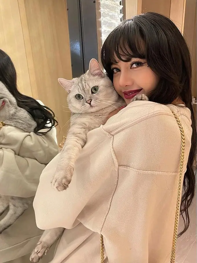 Hewan Peliharaan Idol