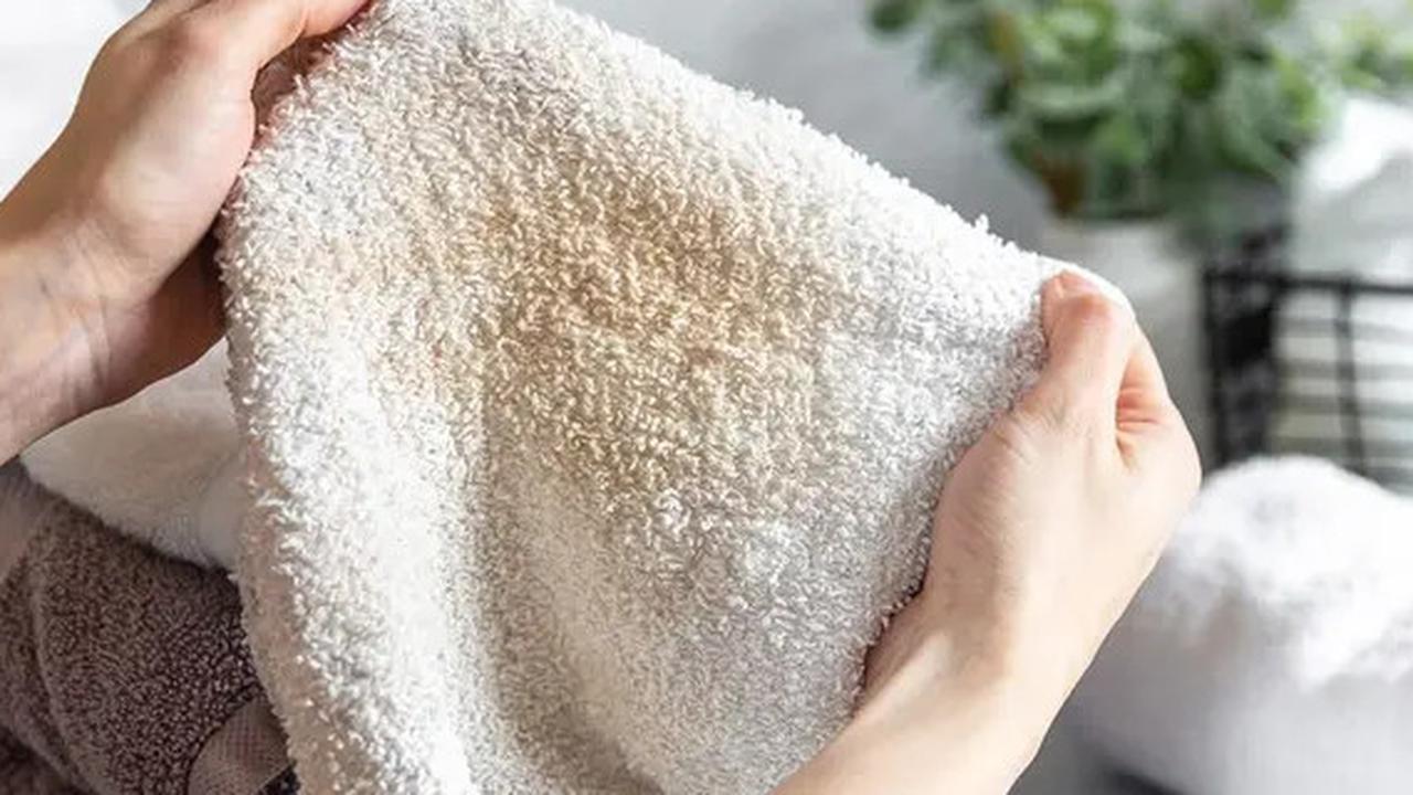 Metode Efektif Menghapus Noda Membandel di Lap Dapur, Simpel Menggunakan Bahan yang Mudah Didapat