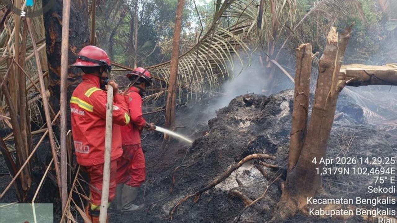 Manggala Agni Berjibaku Padamkan Karhutla Bengkalis Riau di Lima Desa