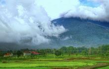 Mengenal Desa Wisata Cibuntu, Begini Aktivitas Seru yang Bisa Dilakukan
