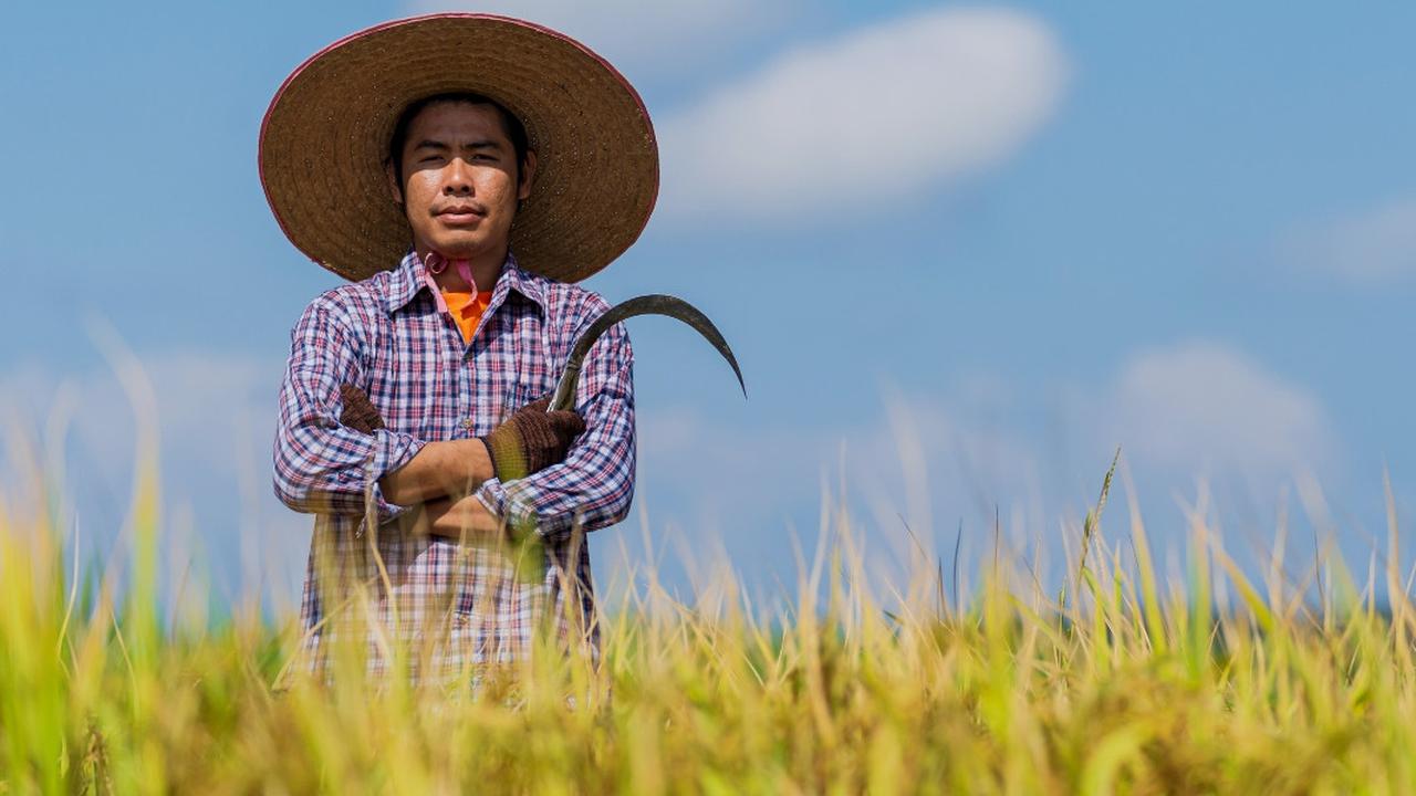 Mengenal Carok, Tradisi Pertarungan Bersenjata dalam Sejarah Madura
