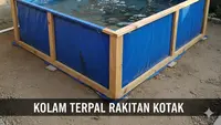 8 Ide Ternak Lele di Lahan Sempit dan Kering, Solusi Tetap Cuan dari Rumah