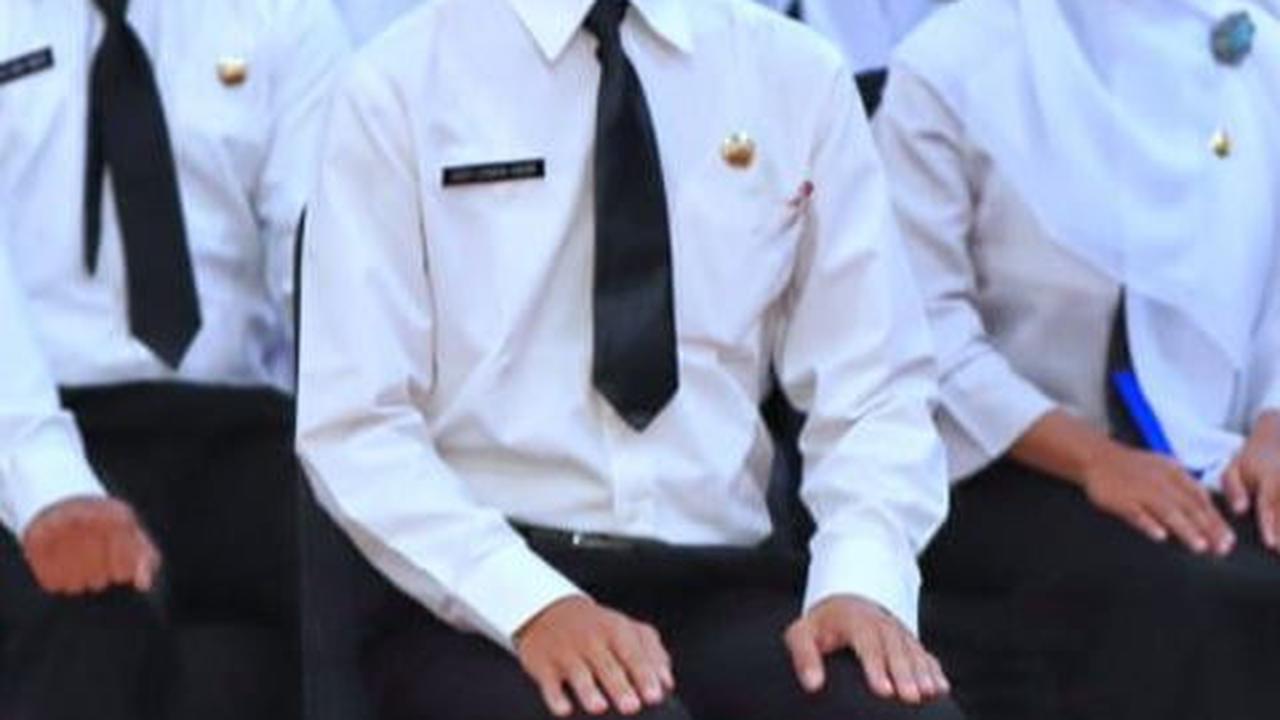 Cek Segera, Pengumuman Seleksi dan Formasi Lowongan CPNS 2023 Dibuka Hari Ini