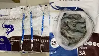 Berawal dari Foto Udang, Penggelapan Tambak Rp 500 Juta Terbongkar