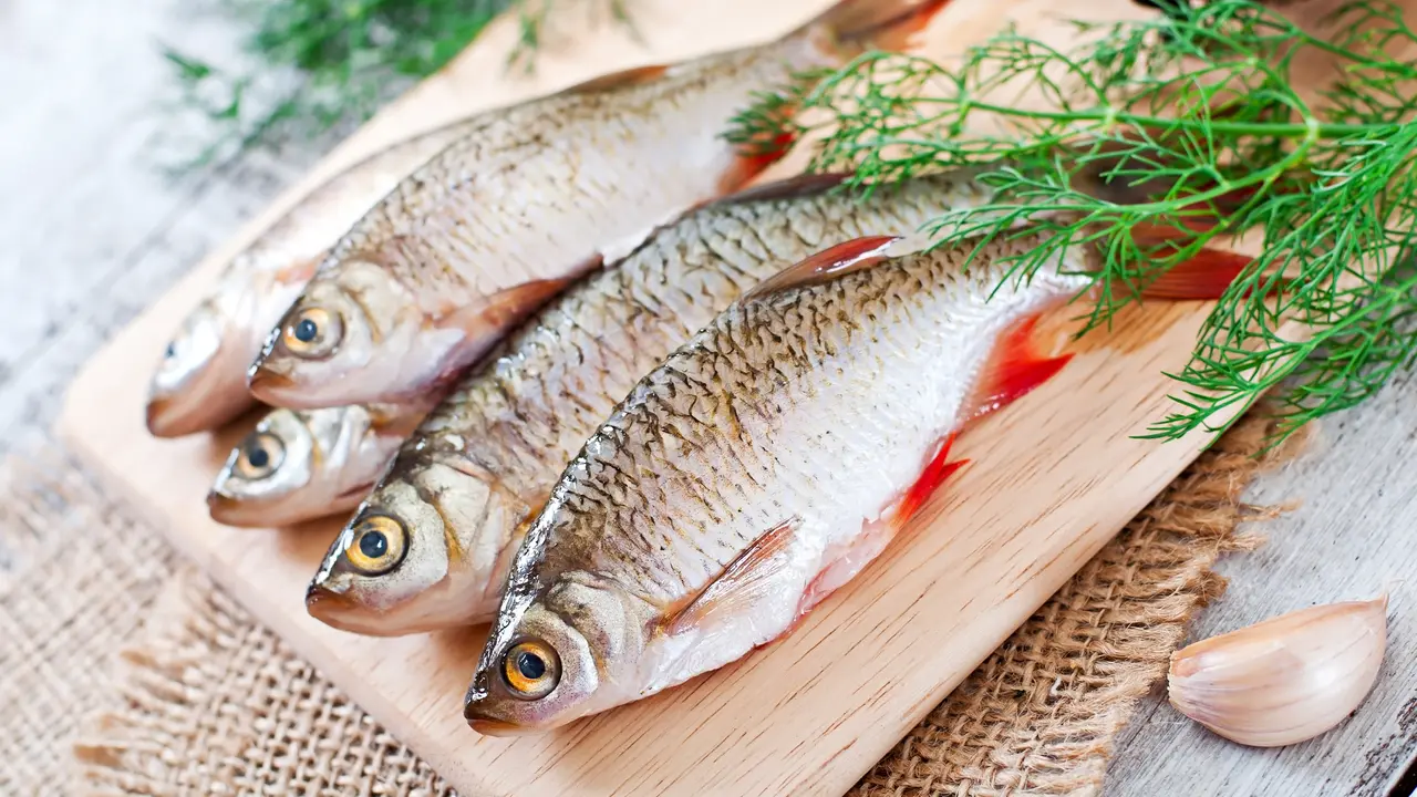 Ikan