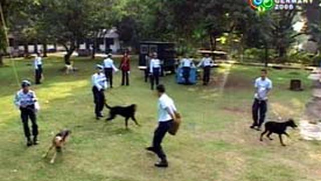 Brigade Anjing Tni Au News Liputan6 Com
