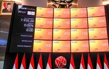 BEI Perpanjang Suspensi Saham ZINC, Ini Alasannya