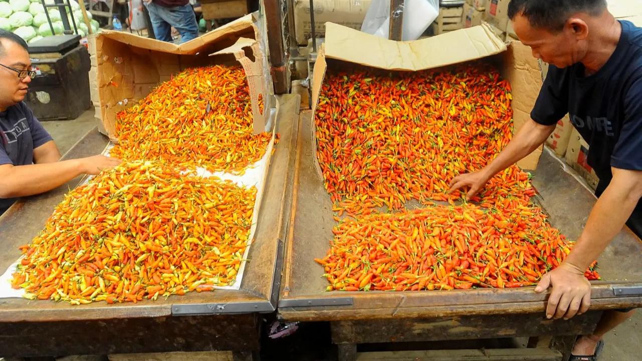 Pedagang memilah cabai merah dan cabai rawit yang harganya masih tinggi meski sempat mengalami penurunan sedikit saat diperdagangkan di Pasar Induk Keramat Jati, Jakarta, Kamis (30/11/2023).